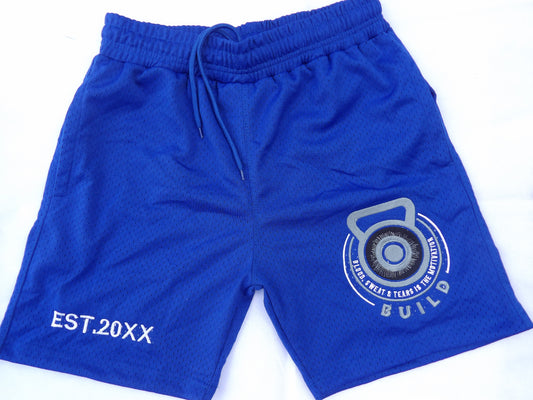 Blue Mesh Shorts